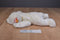 Ty Buddy Chilly Polar Bear 1998 Beanbag Plush