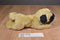 Russ Yomiko Pug Beanbag Plush
