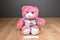 Build-A-Bear Pink Endless Hugs Teddy Bear 2010 Plush