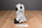 Ganz Webkinz Grey Langur HM226 Beanbag Plush (No Code)