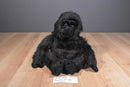 Aurora Sampson Gorilla Beanbag Plush