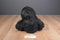 Aurora Sampson Gorilla Beanbag Plush