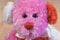 Rocky Mountain Chocolate Factory Teddy Bear 2008 Beanbag Plush