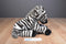 Kohl's Cares Animal Planet Milia Zebra 2006 Beanbag Plush