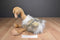 Gund Dazzling Ostrich Beanbag Plush