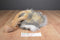 Gund Dazzling Ostrich Beanbag Plush