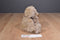 Russ Higgins Beige Teddy Bear Beanbag Plush