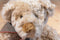 Russ Higgins Beige Teddy Bear Beanbag Plush