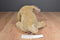 Ty Classic Corky the Cocker Spaniel 1999 Beanbag Plush