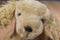 Ty Classic Corky the Cocker Spaniel 1999 Beanbag Plush