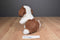 Fable Toy Corp Saint Bernard Puppy 1996 Plush