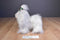Battat Pucci Pups Holiday Maltese Shih Tzu Plush