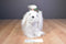 Battat Pucci Pups Holiday Maltese Shih Tzu Plush