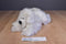 Novelty Toys Adopt-A-Dog White Dog 2010 Beanbag Plush