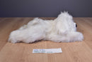 Novelty Toys Adopt-A-Dog White Dog 2010 Beanbag Plush