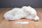 Novelty Toys Adopt-A-Dog White Dog 2010 Beanbag Plush