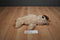 Lambs & Ivy Shaggy Houndstooth Wilson Puppy Dog 2015 Plush