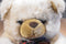 A&A Tan Teddy Bear Plaid Bow Plush