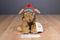 Hallmark Bunnies by the Bay Buddy Hollyday Dog 2002 Beanbag Plush