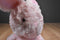 Animal Adventure Pink Bunny 2021 Beanbag Plush