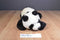 Fiesta Panda Beanbag Plush