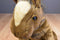 Ty Beanie Buddy Tornado Horse 2002 Beanbag Plush