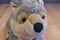 Aurora Grey Wolf Beanbag Plush