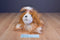 Battat Pucci Pups Shih Tzu Dog Plush
