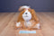 Battat Pucci Pups Shih Tzu Dog Plush