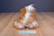 Battat Pucci Pups Shih Tzu Dog Plush