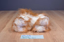 Battat Pucci Pups Shih Tzu Dog Plush