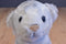 Adventure Planet White Tiger Cub Beanbag Plush