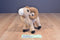 Wild Republic Big Horn Sheep 2012 Plush