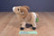 Wild Republic Big Horn Sheep 2012 Plush