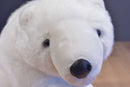 Polar Bear Plush