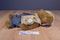 Boyd's Hemingway K Grizzman Fisherman Teddy Bear 1999 Beanbag Plush