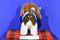 Battat Pucci Pups Beagle Puppy Dog with Blue and Pink Cape Coat Plush