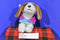 Battat Pucci Pups Beagle Puppy Dog with Blue and Pink Cape Coat Plush