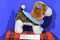 Battat Pucci Pups Beagle Puppy Dog with Blue and Pink Cape Coat Plush