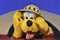Disney World Animal Kingdom Safari Pluto Beanbag Plush