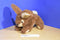 Midway Brown Bunny Beanbag Plush