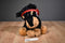 Walgreens Rottweiler Black Brown Dog with Ear Muffs Plush