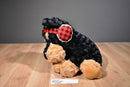 Walgreens Rottweiler Black Brown Dog with Ear Muffs Plush