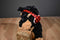 Walgreens Rottweiler Black Brown Dog with Ear Muffs Plush