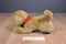 Douglas Cabela's Sandi Golden Retriever Puppy 2014 Plush