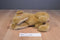 Douglas Cabela's Sandi Golden Retriever Puppy 2014 Plush (B 32)