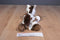 Aurora Mini Flopsies Gypsy Appaloosa Horse Beanbag Plush