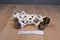 Aurora Mini Flopsies Gypsy Appaloosa Horse Beanbag Plush