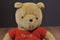Gund Classic Pooh Teddy Bear Knit Shirt Plush