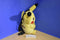 Fab NY Pokemon Pikachu 2015 Plush Backpack